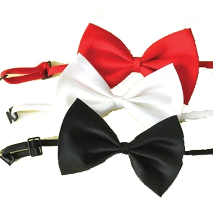 Fashion Simple Bow knot Tie 1