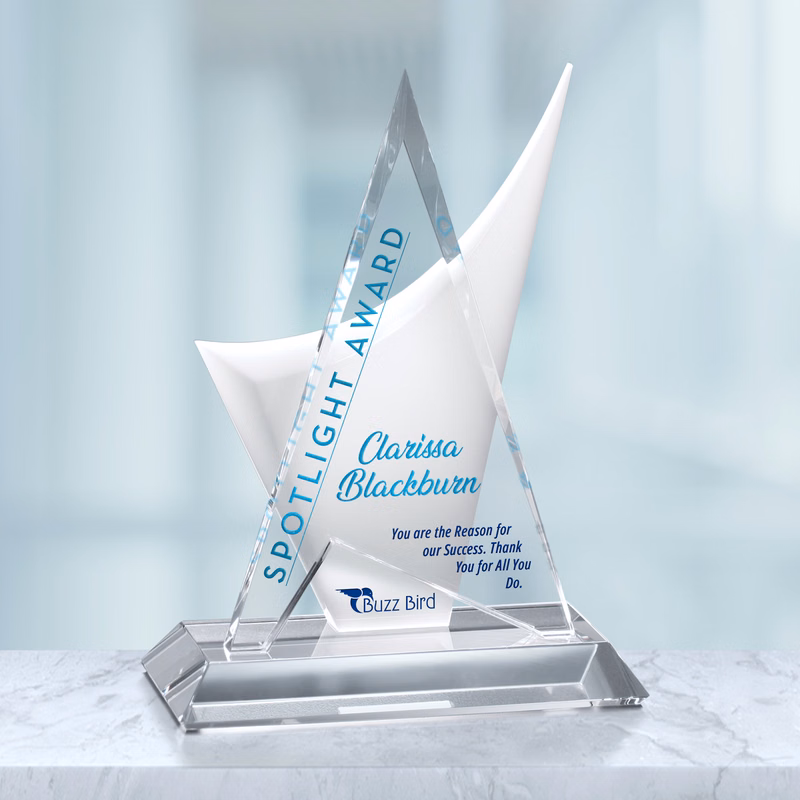 Enterprise Award