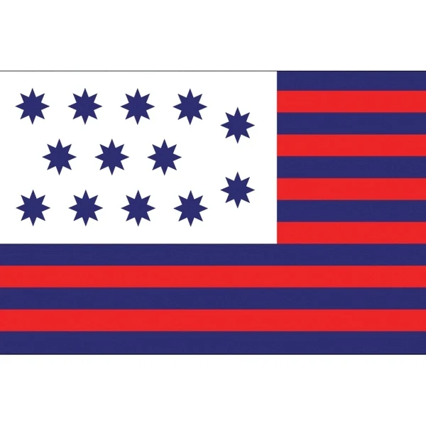 Special Historical Stick Flag - Guilford Courthouse 1