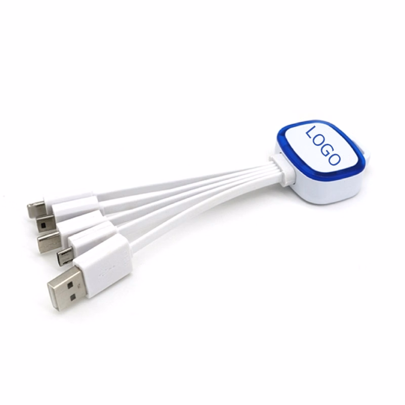 Flashing 4-in-1 Charging Cable