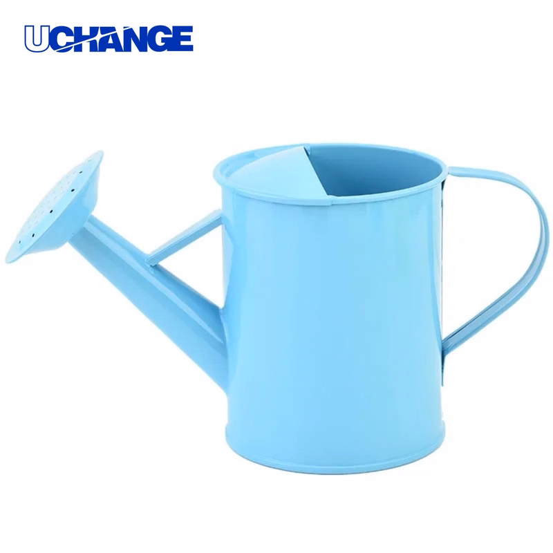 Metal Garden Watering Pot for Home Plants