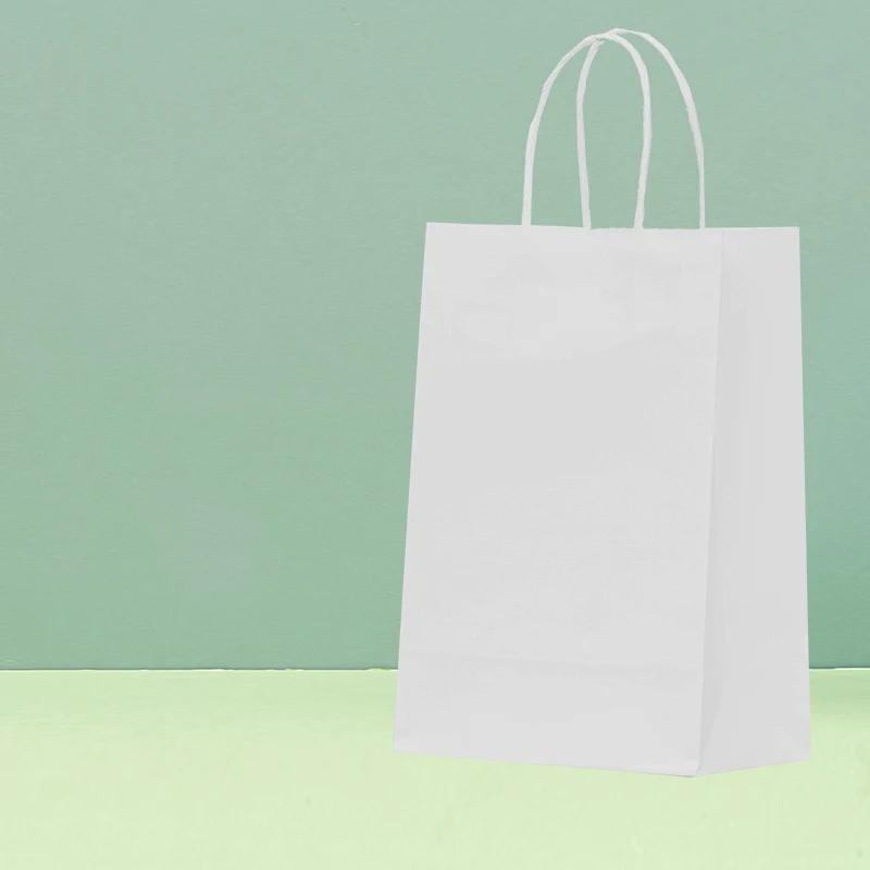Custom Kraft Paper Packaging Bag 1