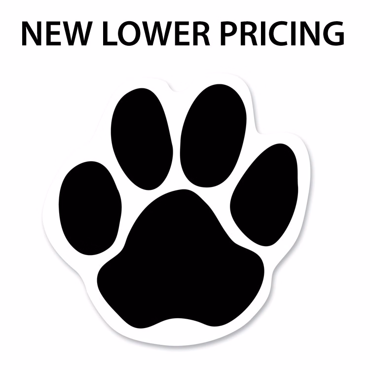 30 Mil Small Paw Print Car Magnet - Full Color