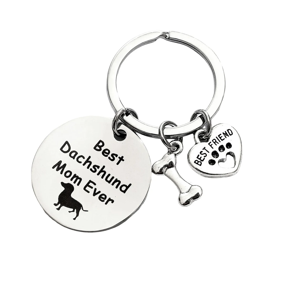Stainless Steel Round Pet Logo Keychain 1