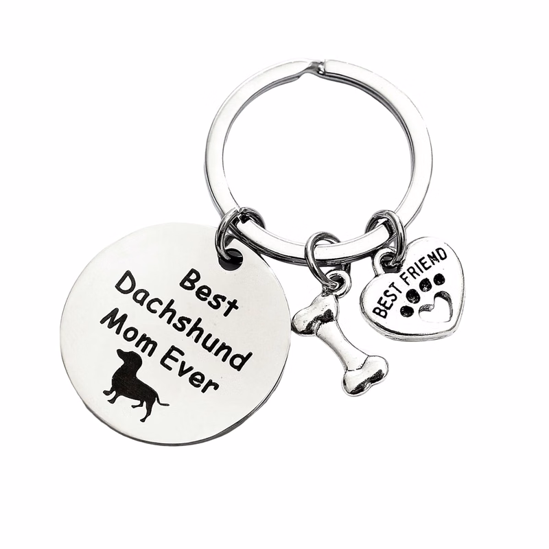 Stainless Steel Round Pet Logo Keychain
