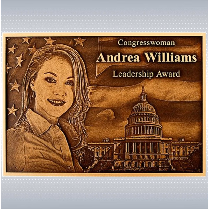 Bronze Plaque 20"x16"