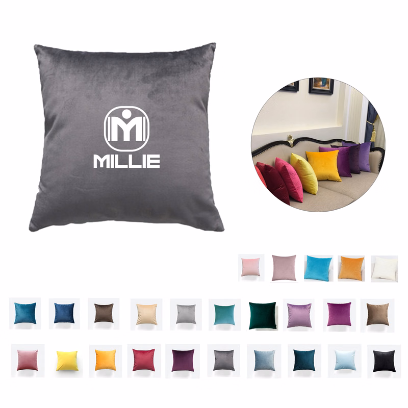Decorative Throw Pillow With Soft Velvet Cases