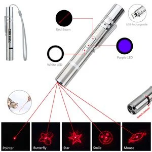 Multifunctional Stainless Steel LED Flashlight With Cartoon Icons 1