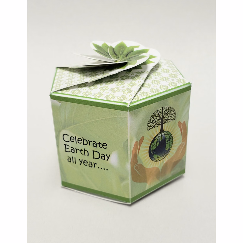 Catnip SeedGems Paper Planter - Biodegradable grow kit