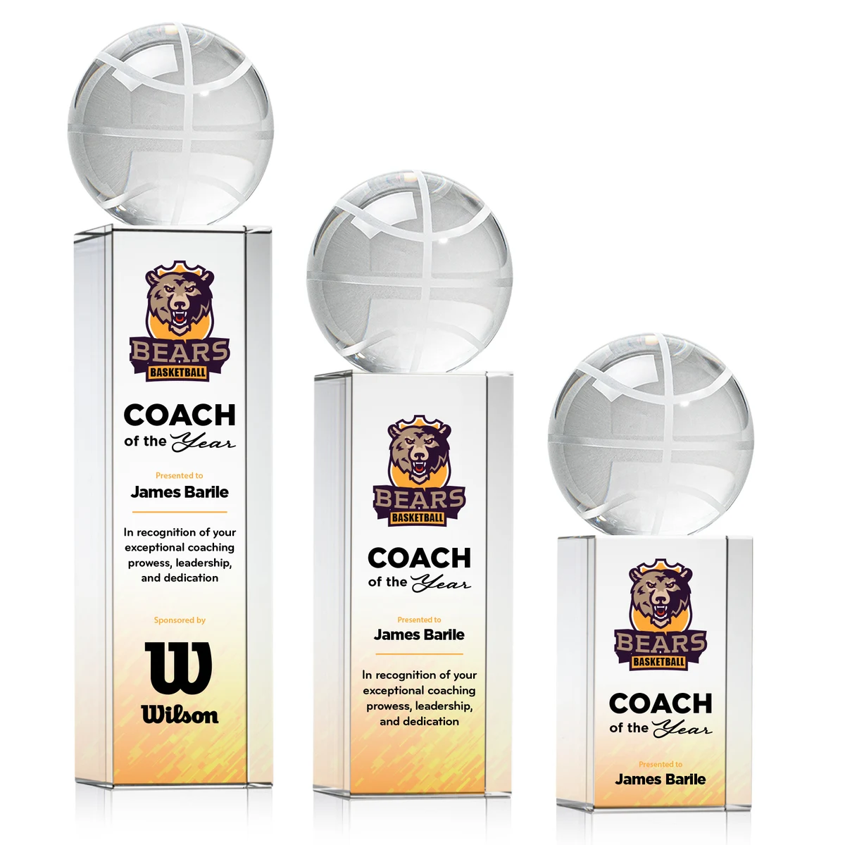 Basketball VividPrint™ Award on Dakota 1