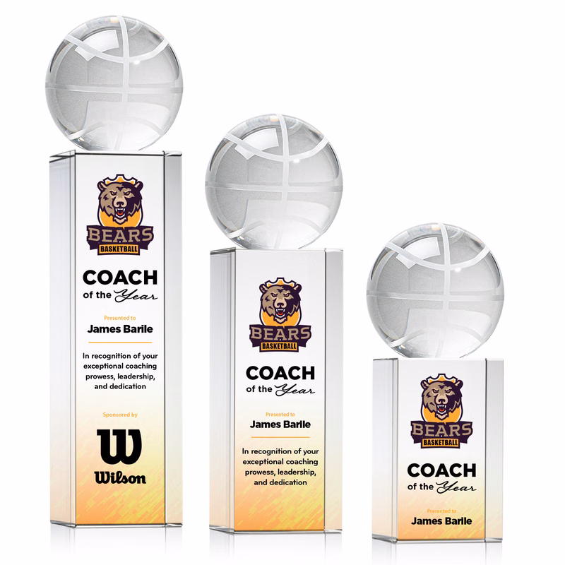 Basketball VividPrint™ Award on Dakota