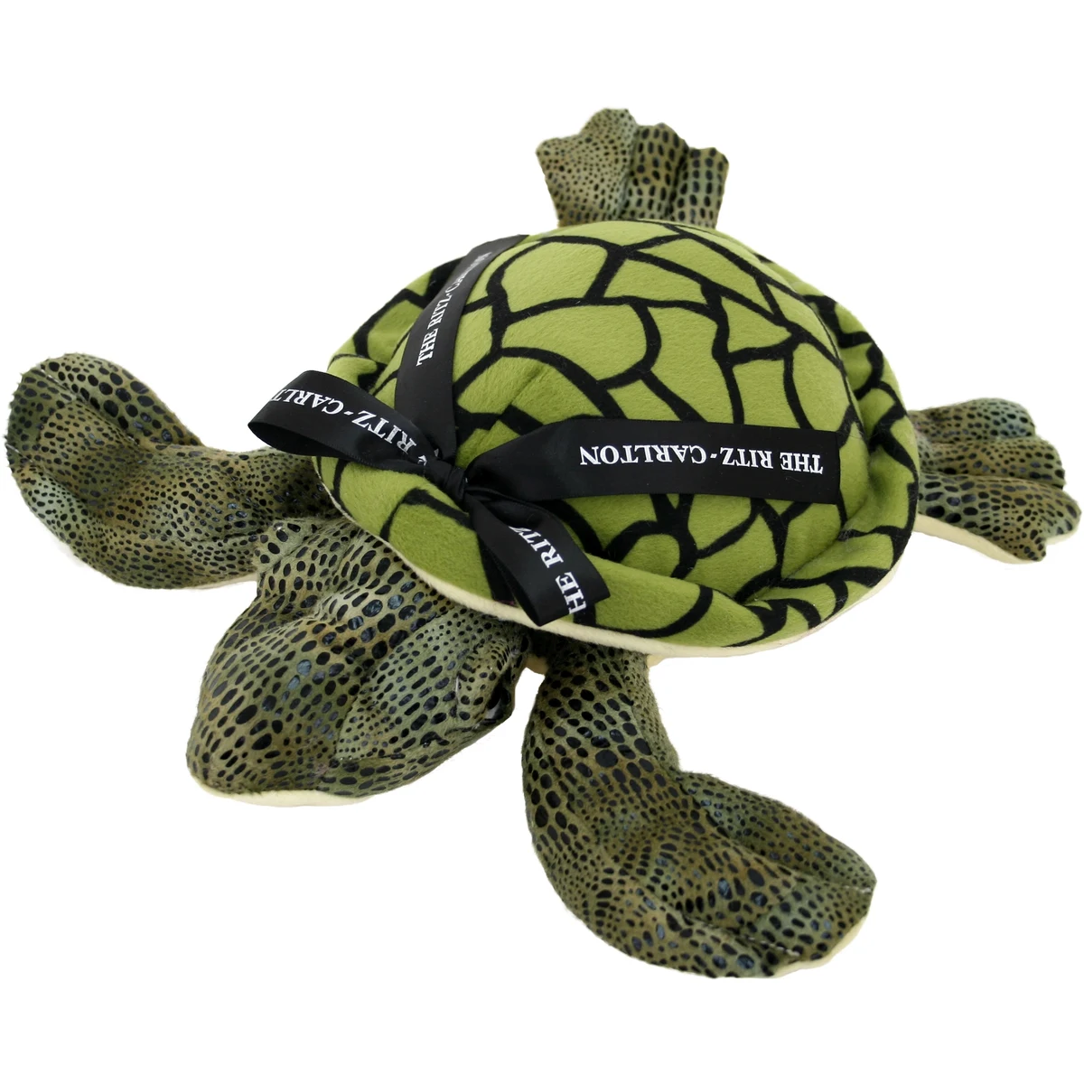 11" Green Sea Turtle 1