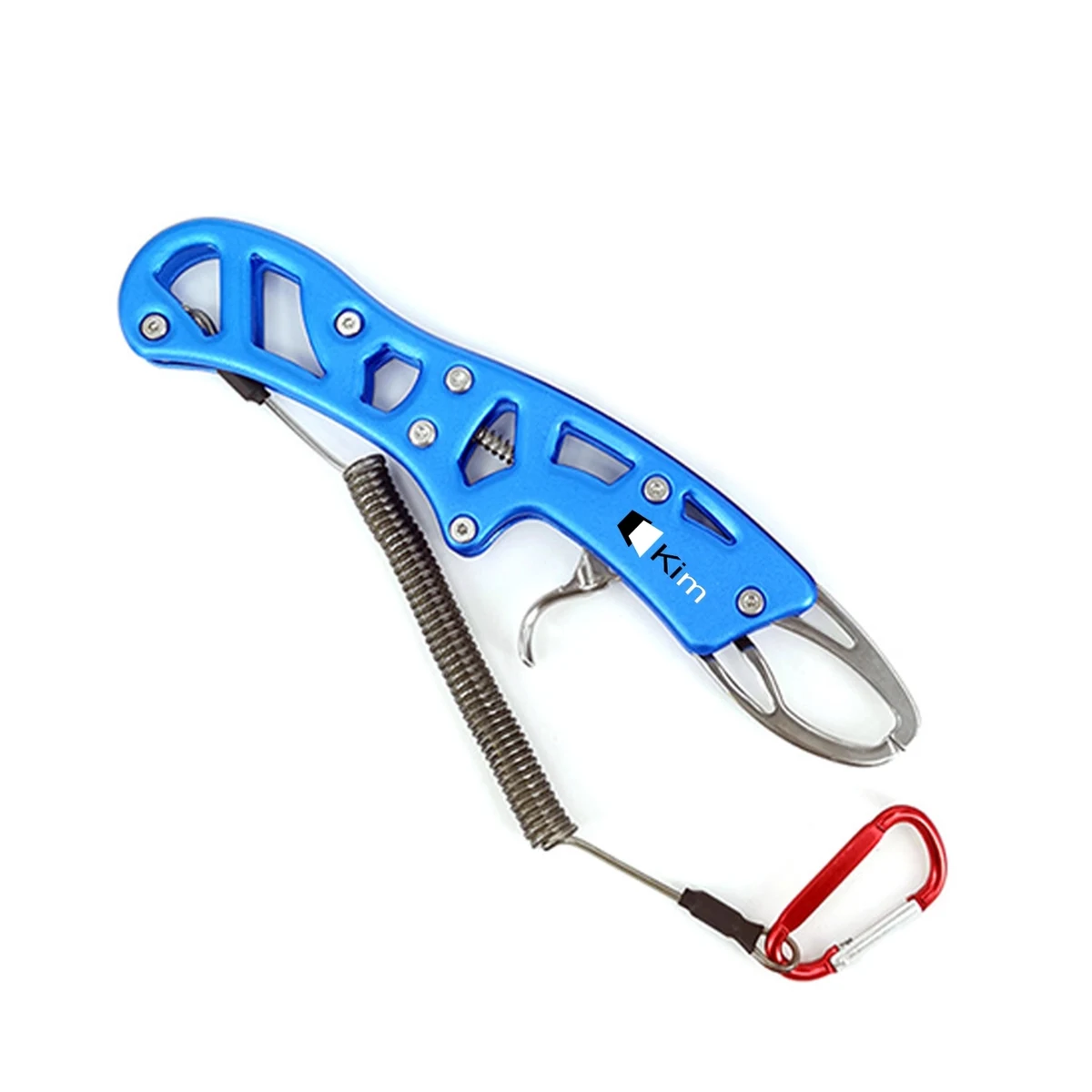 Multi-function Fish Controller 1