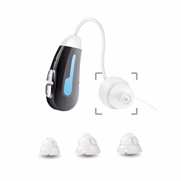 Hearing Aid