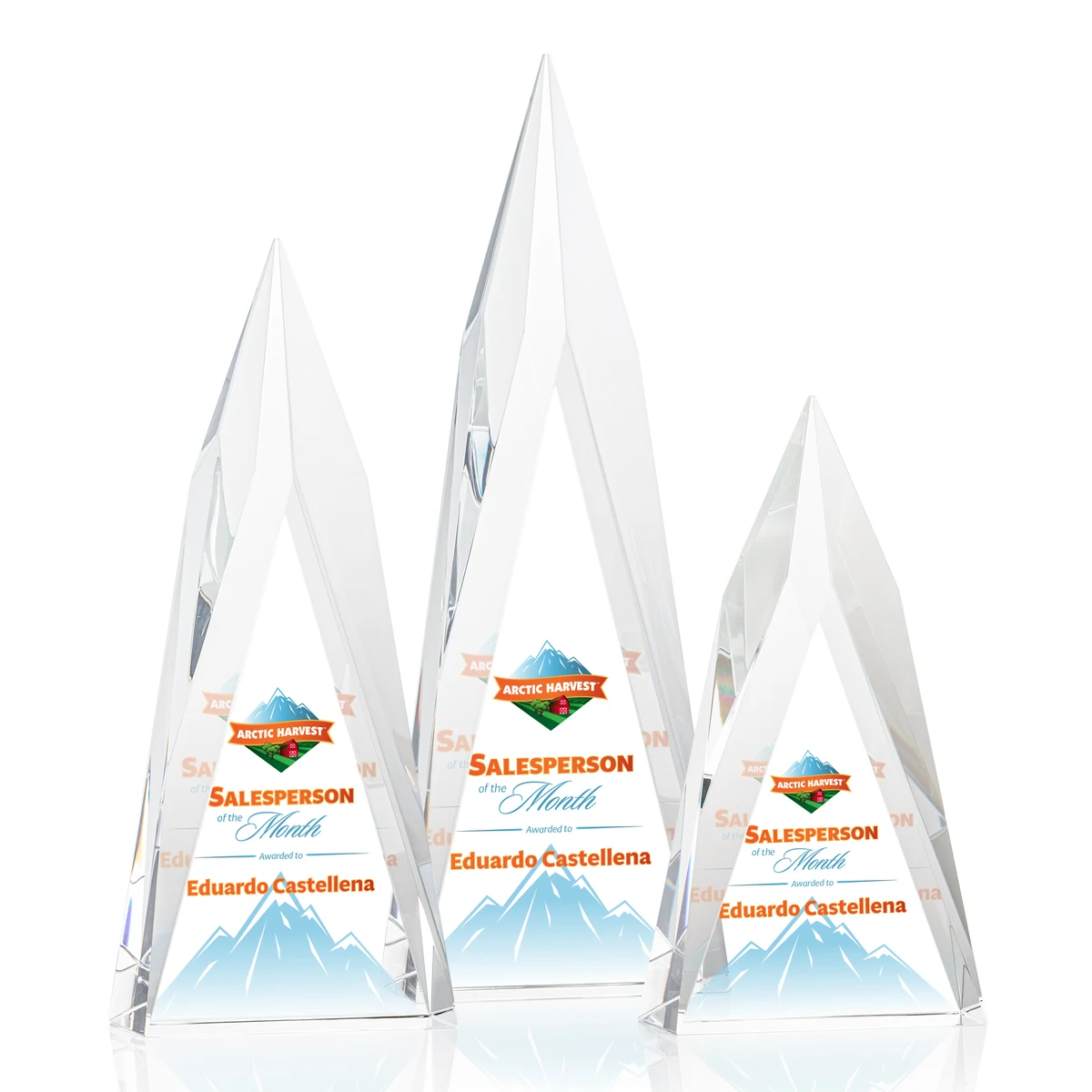 Salisbury VividPrint™ Award 1