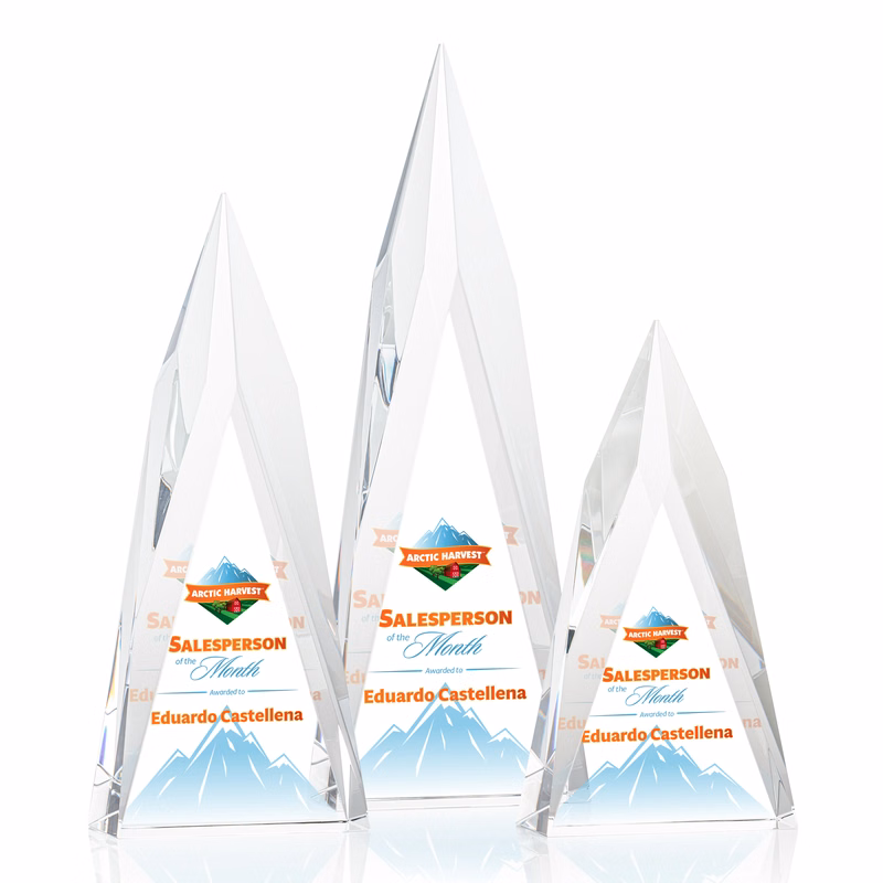 Salisbury VividPrint™ Award