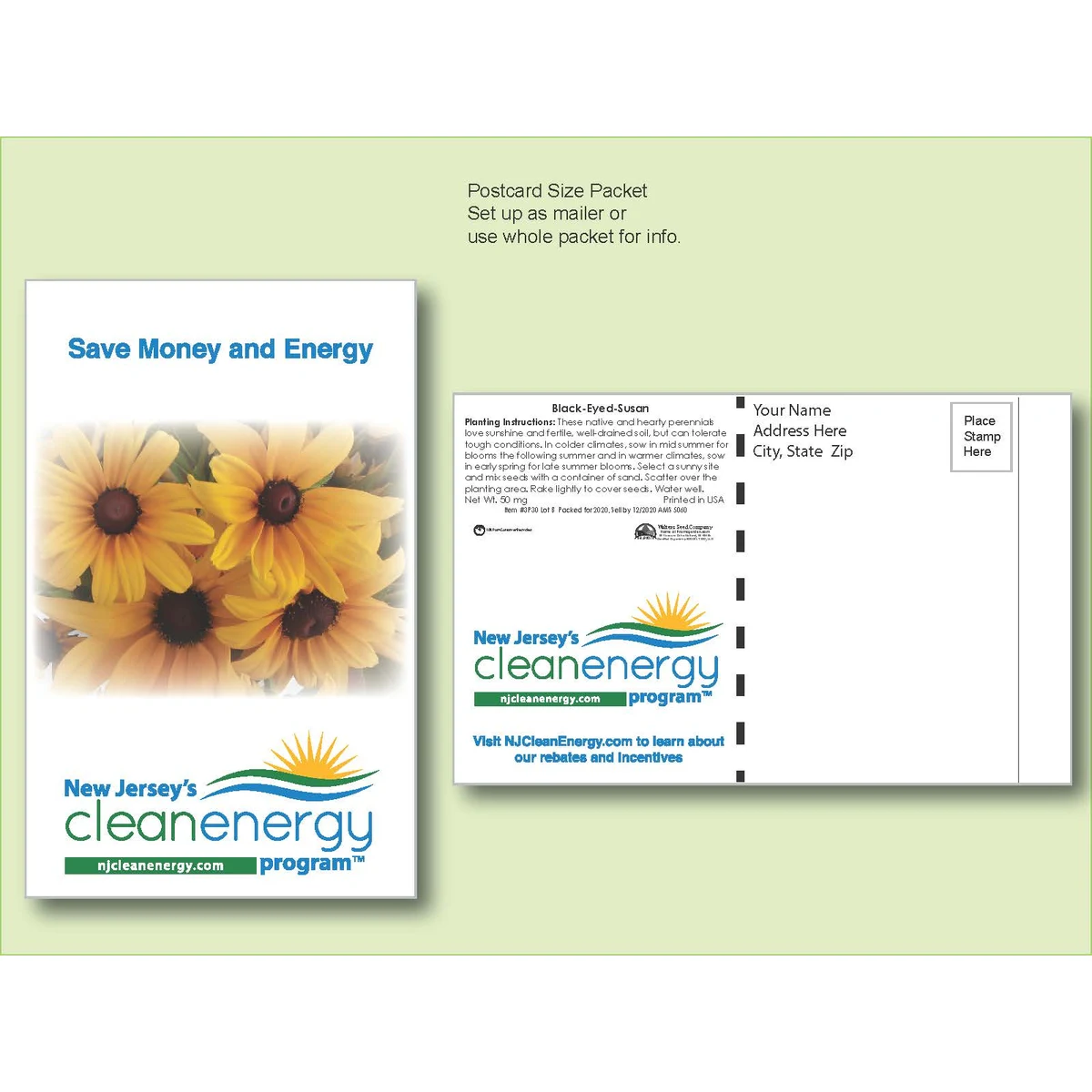 Black Eyed Susan Flower Seed Packet - Postcard Mailer Size 4" x 6.5" 1