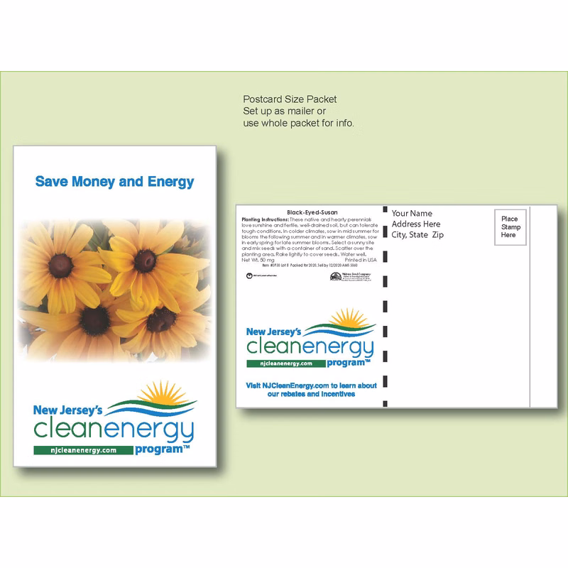Black Eyed Susan Flower Seed Packet - Postcard Mailer Size 4" x 6.5"