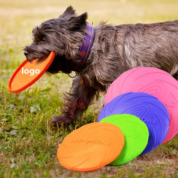 Small Dog Flying Disc 1
