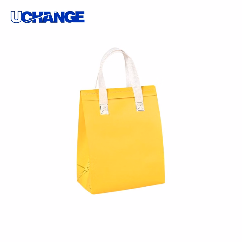 Non Woven Insulated Lunch Bag Cooler