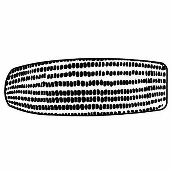 Magnet - Corn Cob - Full Color 1