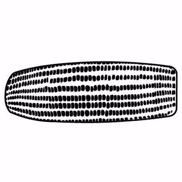 Magnet - Corn Cob - Full Color