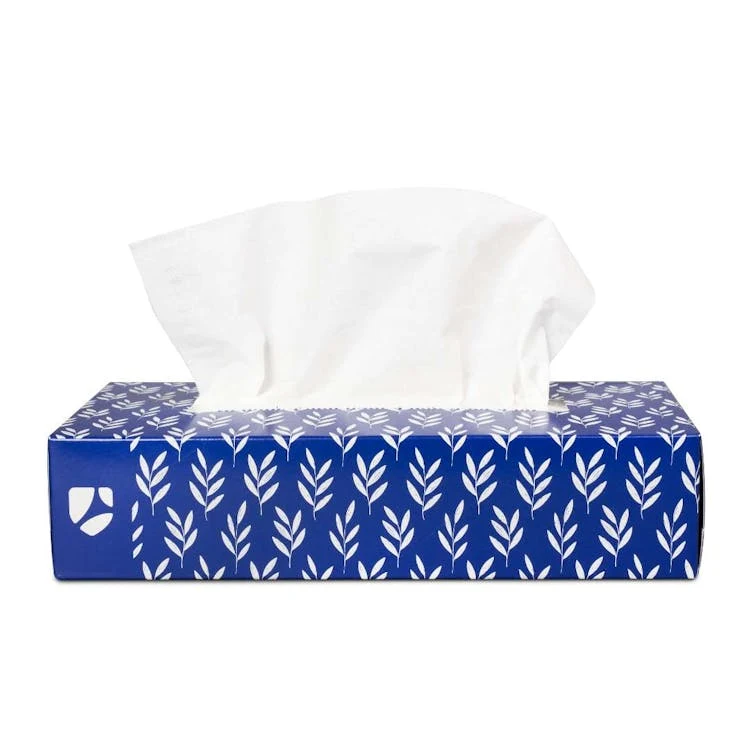 Facial Tissues Standard 2-Ply - 90 per Box 1