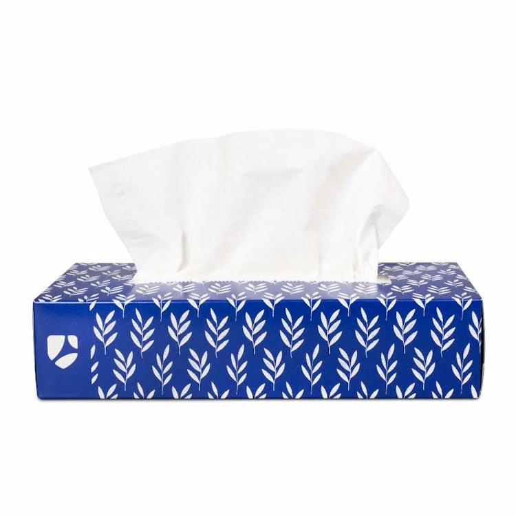 Facial Tissues Standard 2-Ply - 90 per Box