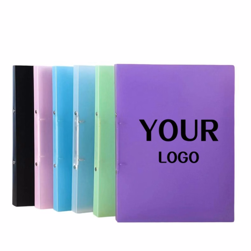 A4 Transparent Perforated Folder