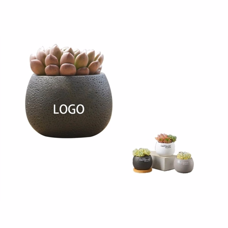 Plant Pot