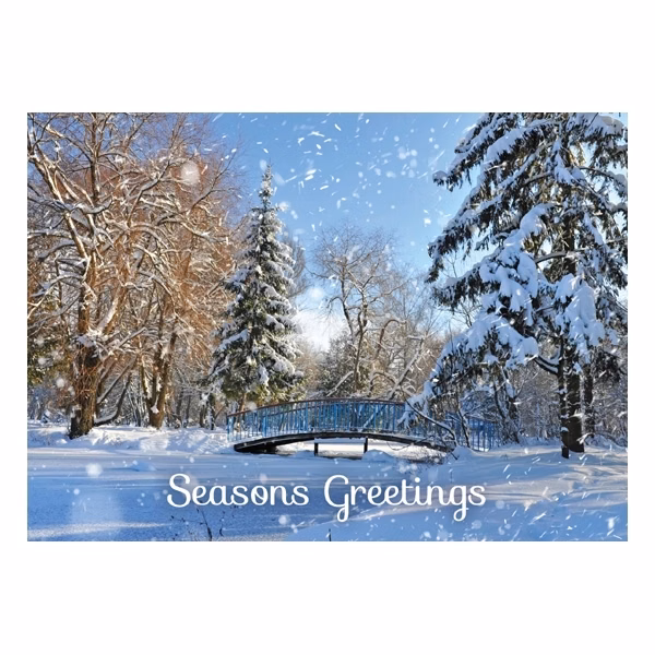 Winter Park Bridge Holiday Greeting Card