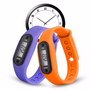 Pedometer Watch