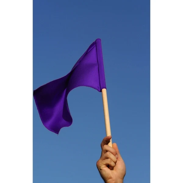 6" x 9" Stock Attention Stick Flags - wPoly 1