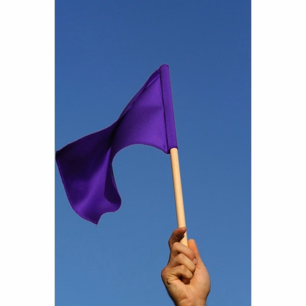 6" x 9" Stock Attention Stick Flags - wPoly
