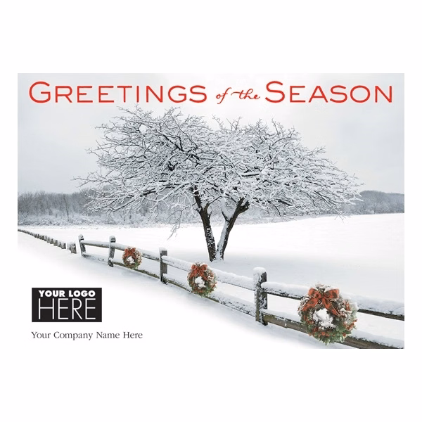 Winter's Appearance Holiday Cards
