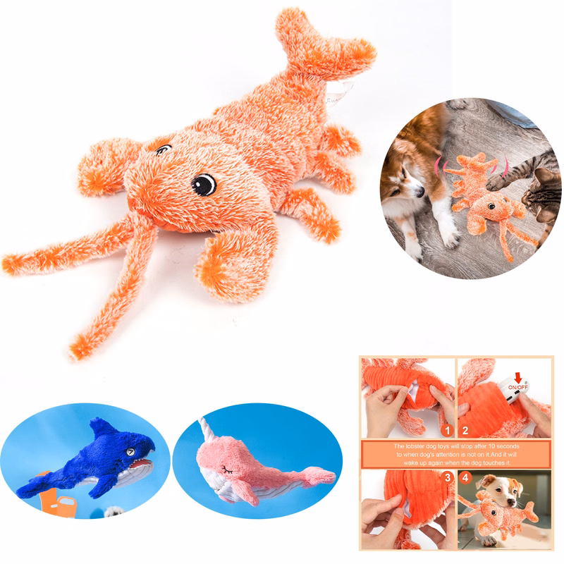 Interactive Dog Cat Toy