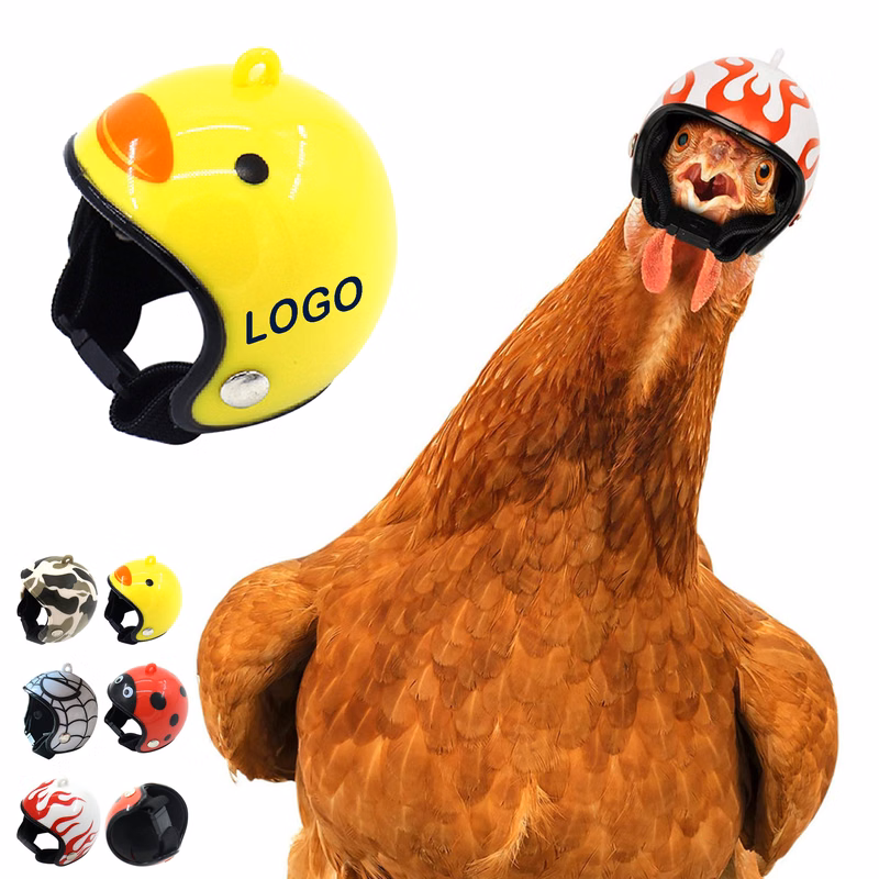 Custom Chicken Safety Helmet