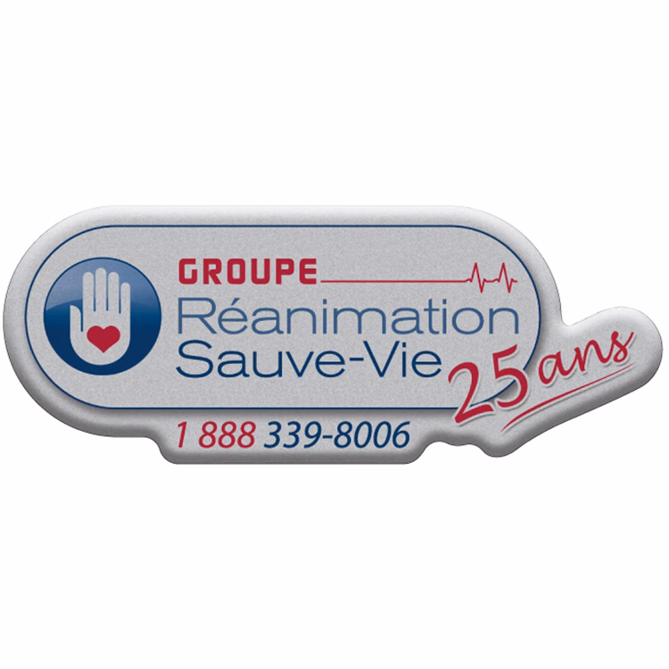 8 Sq. Inch Custom 4 Colour Process Matte Silver Polyester Domed Decal
