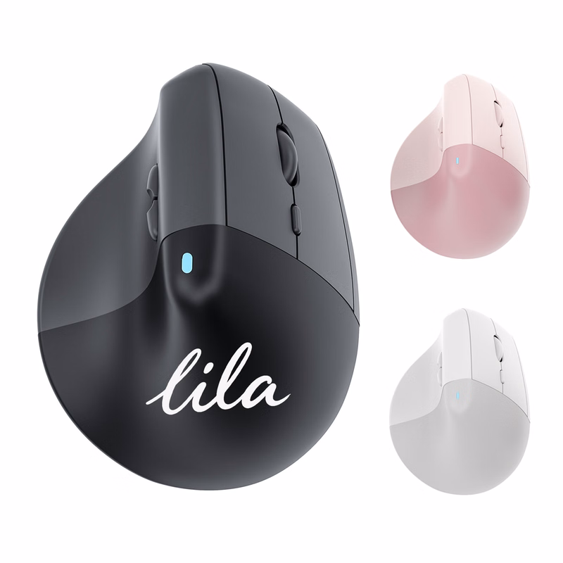 Ergonomic Vertical Quiet Wireless Mouse