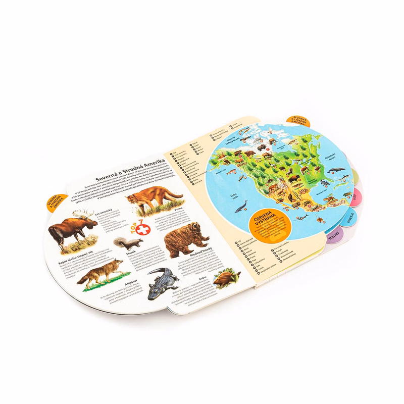 Colorful Die-Cut Indexed Board Book