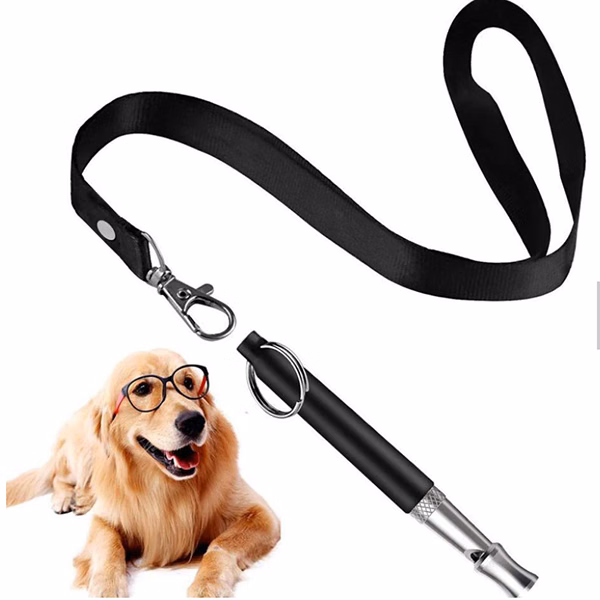 Professional  Dog Training Whistle with Lanyard