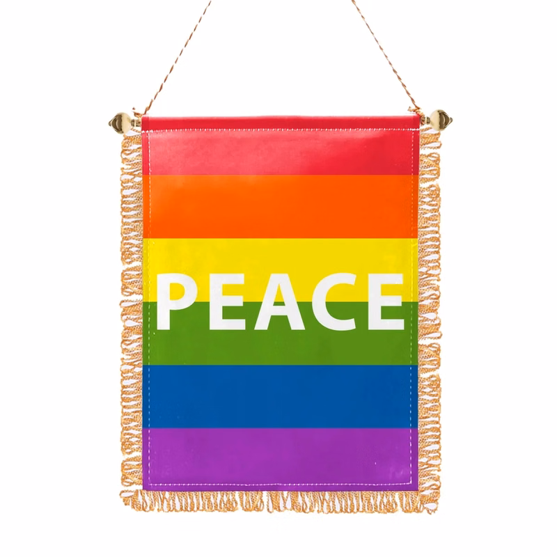 Mini Banner - Rainbow Peace