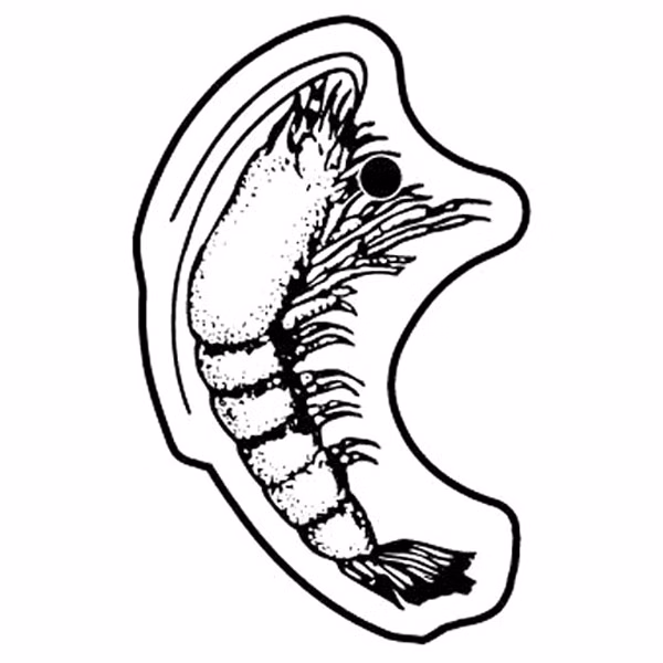 Shrimp Key Tag (Spot Color)