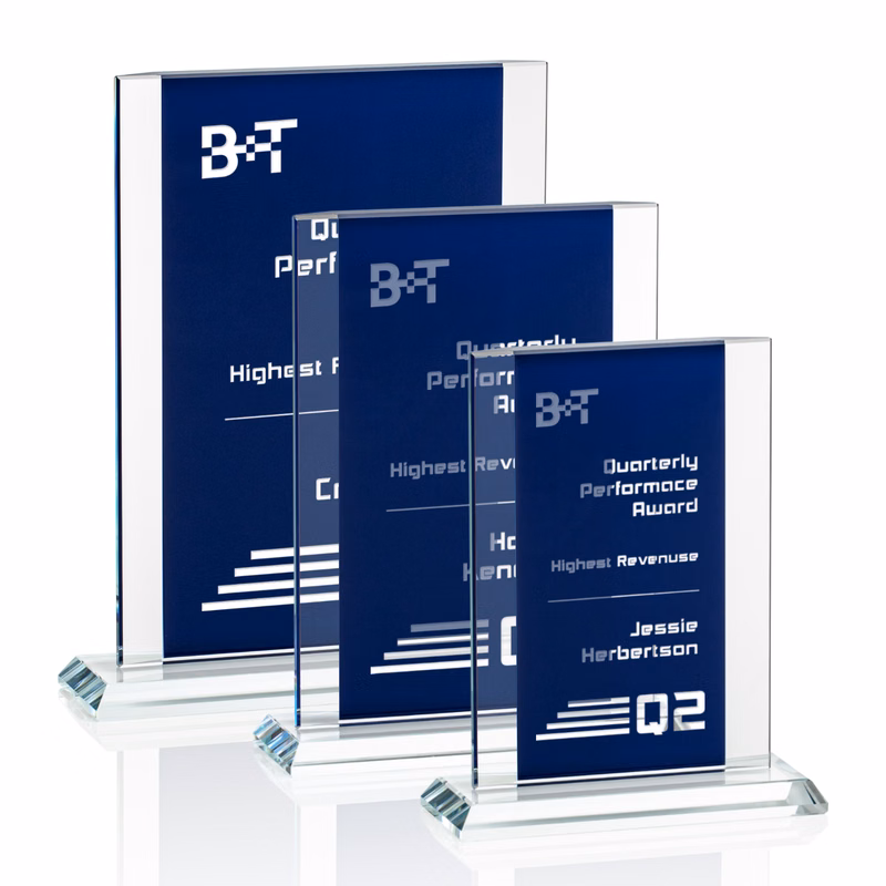 Tameside Award - Blue