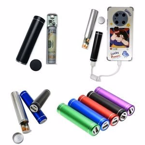 Power Bank Diversion Safe