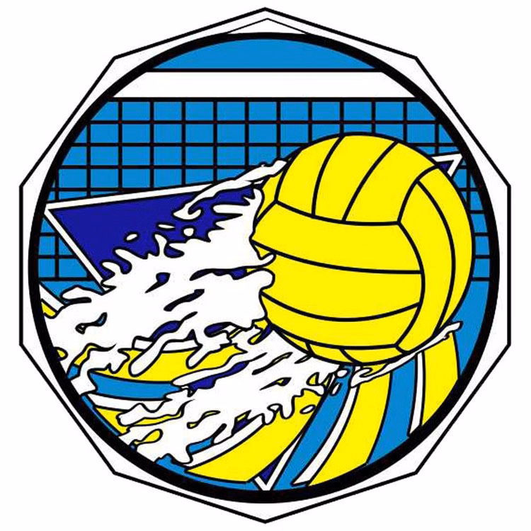Water Polo Decagon Colored Medallion (2")
