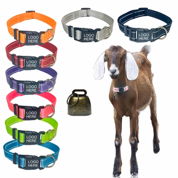 Colorful Reflective Polyester Bell Collar
