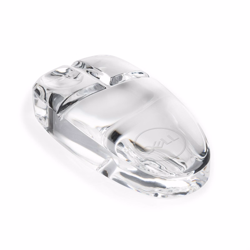 Computer Mouse Paperweight
