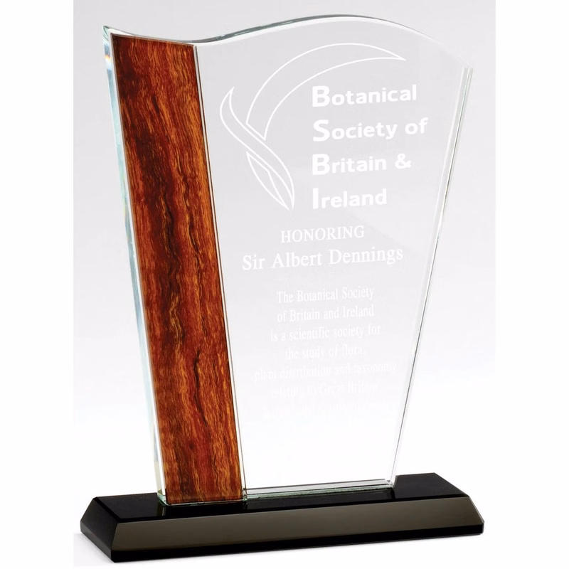 8 1/4" Crystal Wave Award w/Wood Look Edge & Black Base
