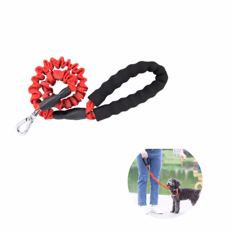 Animal Dog nylon leash out door
